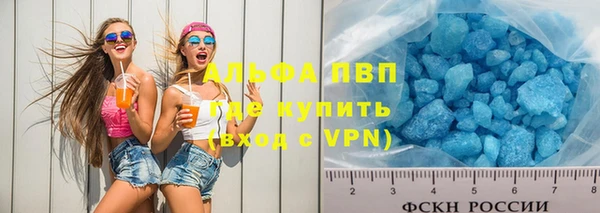 PSILOCYBIN Корсаков