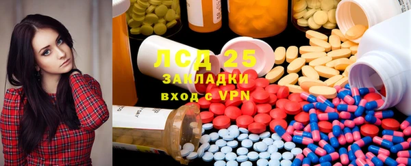 крисы Инта