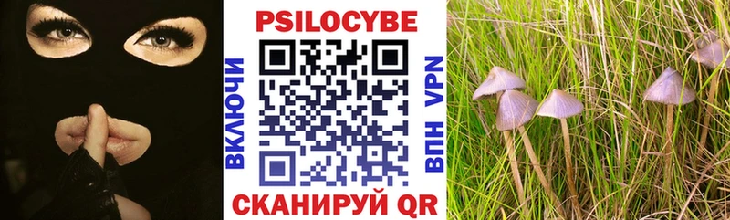 где можно купить   Арсеньев  Галлюциногенные грибы Psilocybine cubensis 