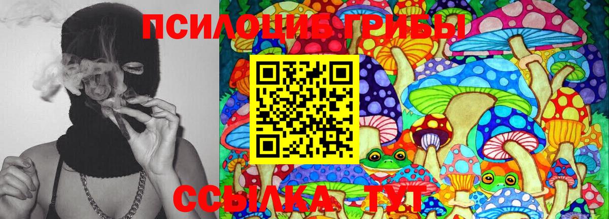 Псилоцибиновые грибы Psilocybe  Псилоцибиновые грибы Magic Shrooms  Вход с VPN  купить  сайты  Арсеньев 